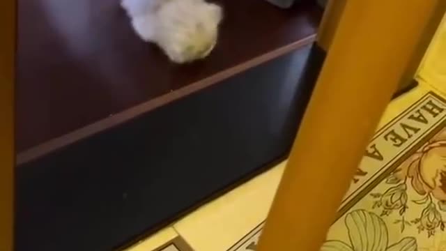 NO - you do not go there
