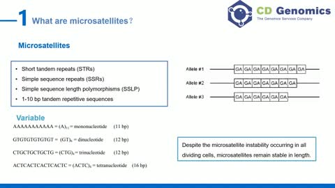 Microsatellite Genotyping