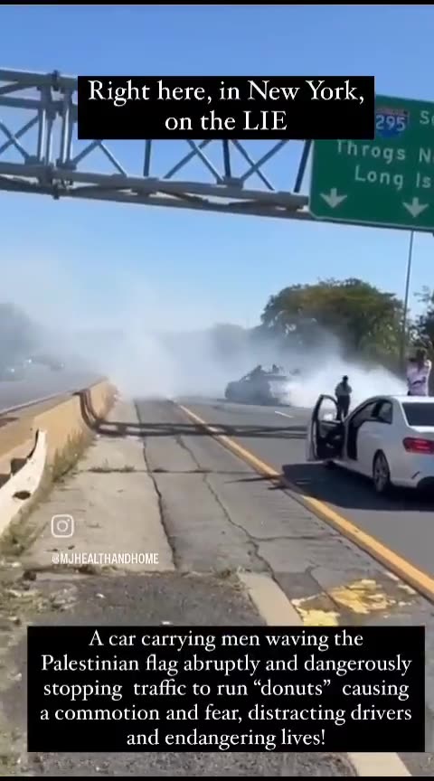 It's Starting: Kids in NY Doing Donuts on the Highway Waving Palestinian Flags