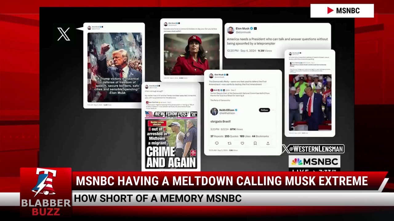 MSNBC Having A Meltdown Calling Musk Extreme