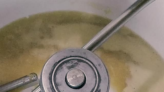 Everything you need to know about BREAD FERMENTATION