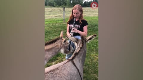 Animals Grow Up - I'm a Big Kid Now From Baby Animals To Adult Animals