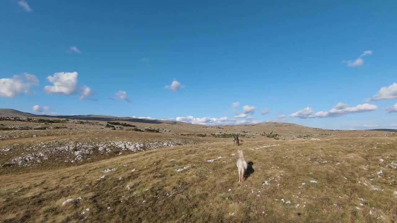 Aerial FPV drone shot of a chasing and flying close around