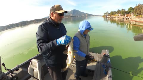 RELEASING A CHUNK LARGIE ON CLEAR LAKE!