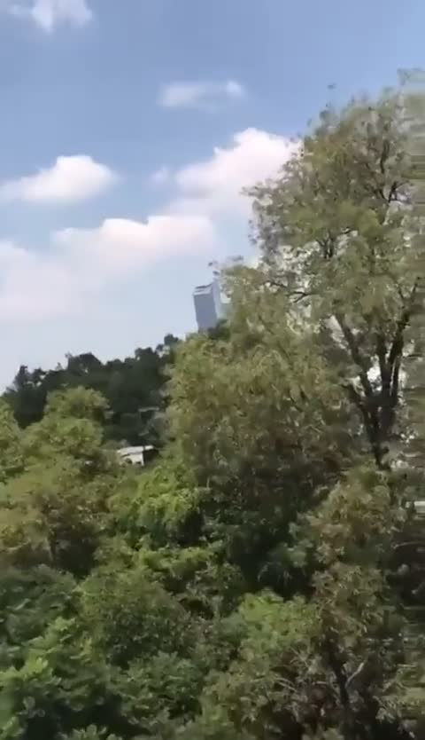 Buildings shake, panic on the streets as Powerful earthquake shakes Mexico