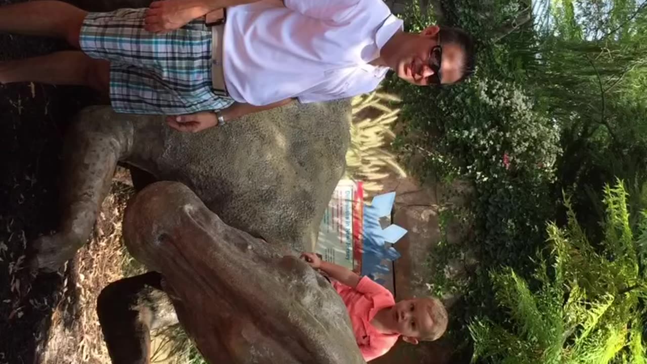 Camden Children’s Garden - Amanheceu - Ryan Vitor Vaqueirinho