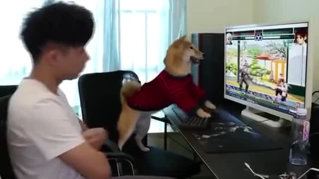 Game player