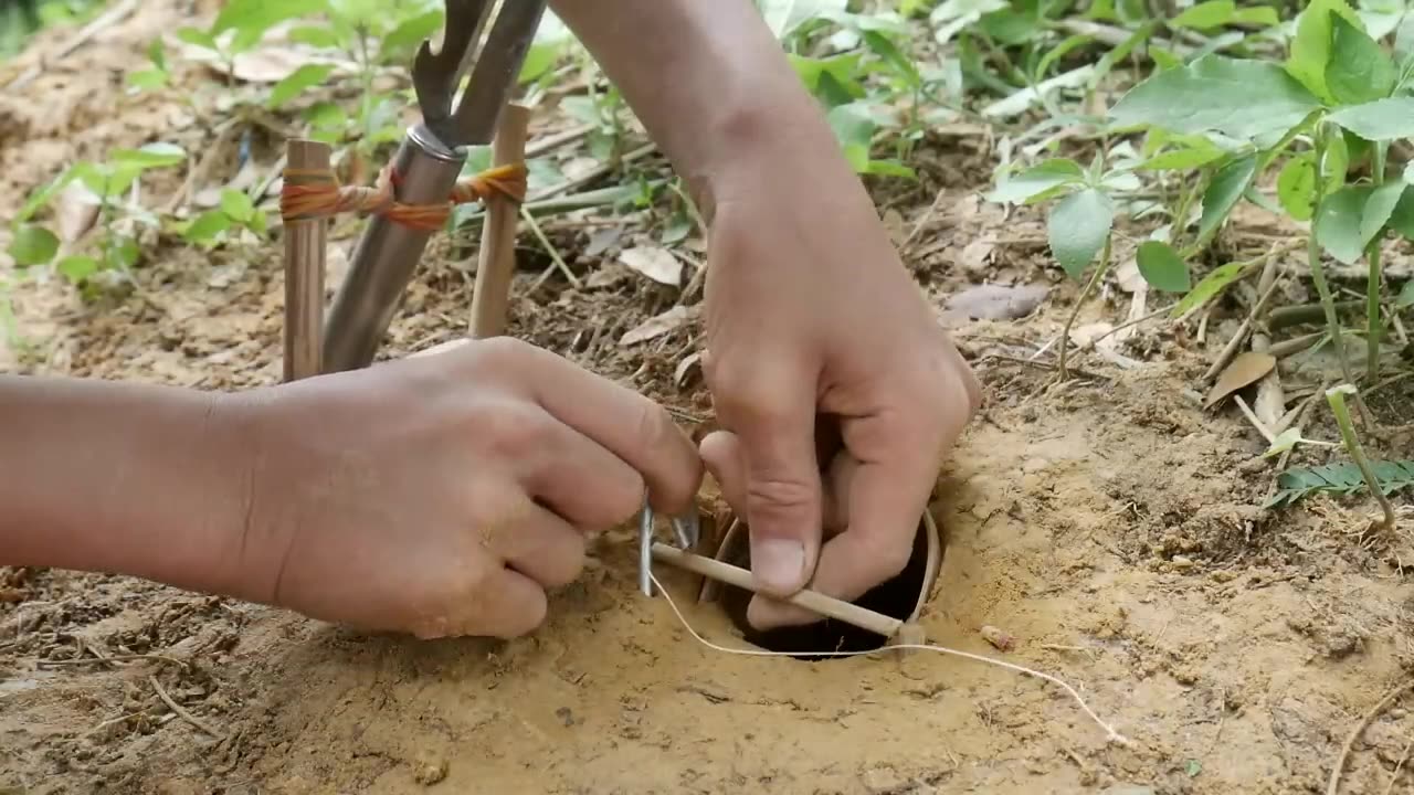 Primitive technology - Build UndergroundSnake Trap Using Tray & Chicken Catch BigSnake