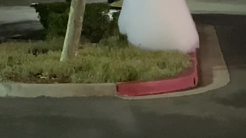 Mysterious Clouds Float Through Parking Lot