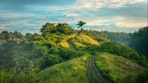 Meditation Music with Nature