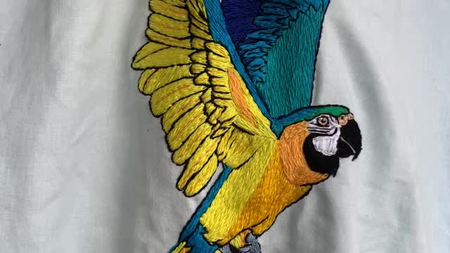 Beautiful embroidering of a blue and gold macaw