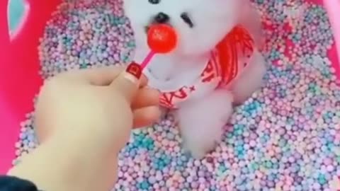 Funny dogs shorts 😂 funniest 🐶 Dogs Tiktok | Awesome pets videos #trynottolaugh