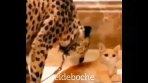 Minha Alma já não se encontrar mais no meu corpo