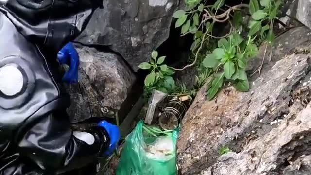 Honey Harvesting