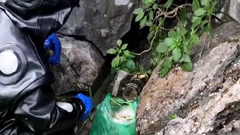 Honey Harvesting