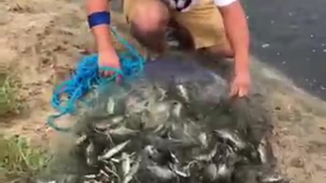 Fishing by net in small river