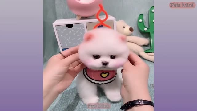 Cuteness overload !!!!!!