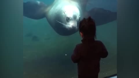 Funny Kids at the Aquarium: Hilarious Reactions and Adorable Moments