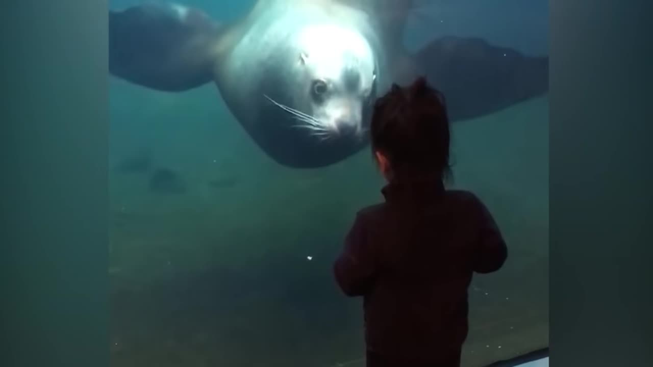 Funny Kids at the Aquarium: Hilarious Reactions and Adorable Moments