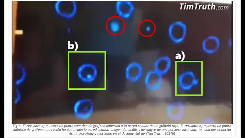 Puntos Cuánticos de Grafeno GQD