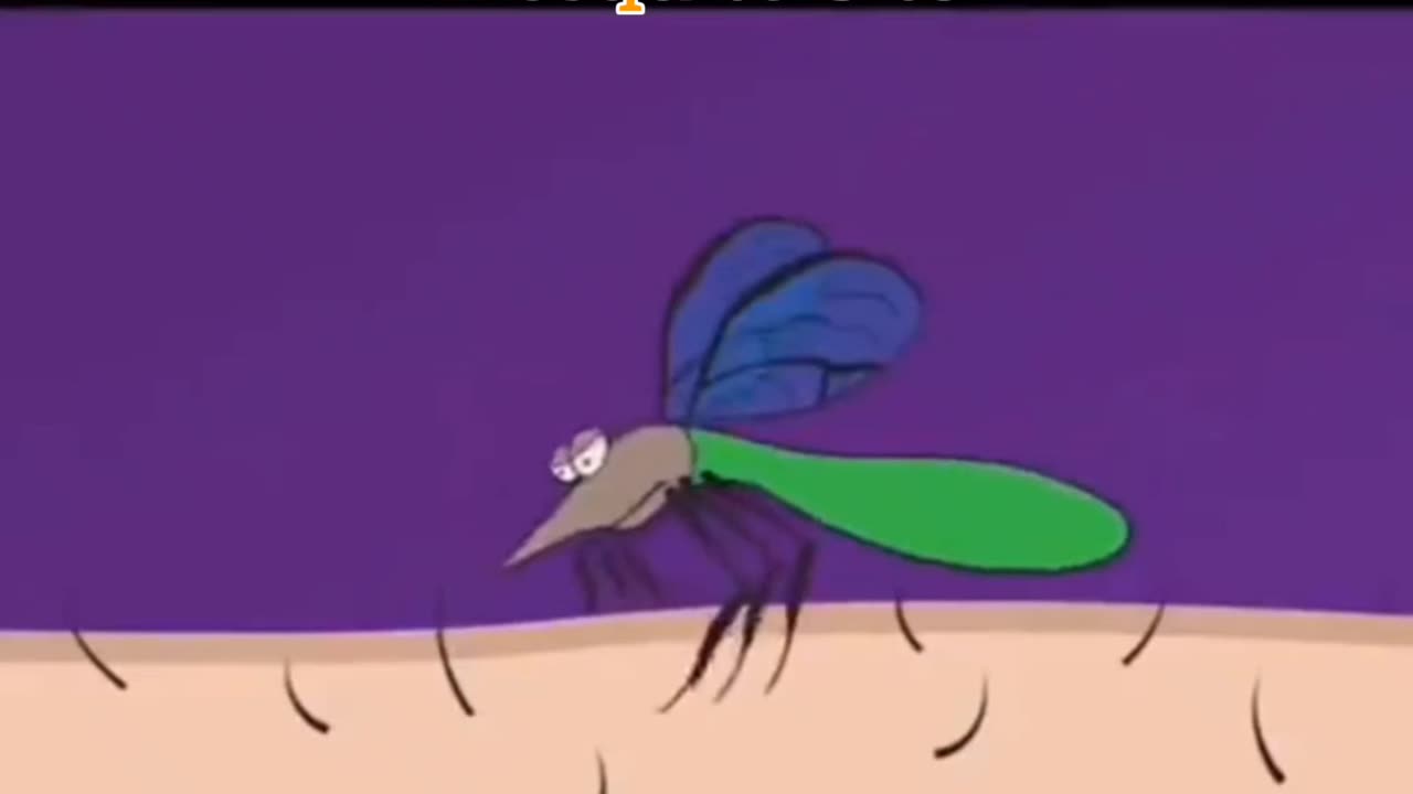 Mosquito bite animation.