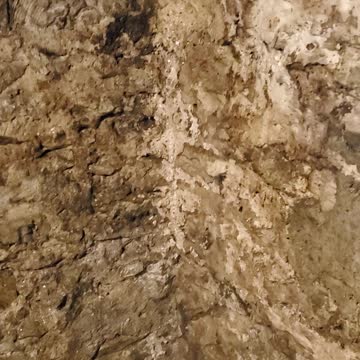 Renting from people who dont care about you