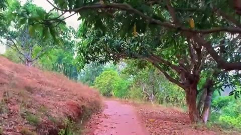 നിങ്ങളും പോരുന്നോ പ്രകൃതി ഭംഗി കാണാൻ
