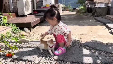 Baby Cat & Kid