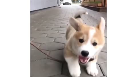 Love at first sight. Try not to laugh and cry.