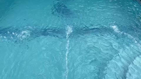 Slow Motion Pool Water