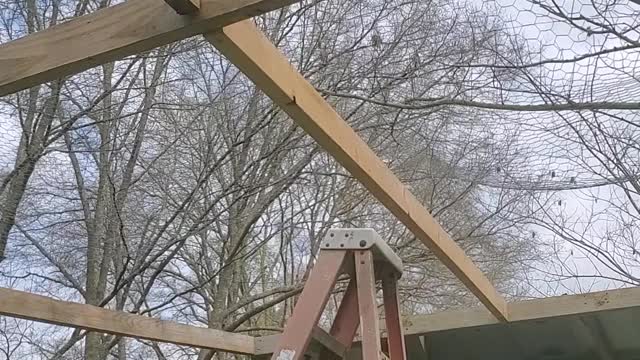 Eps4 chicken coop build