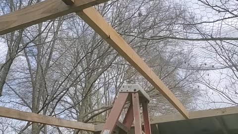 Eps4 chicken coop build