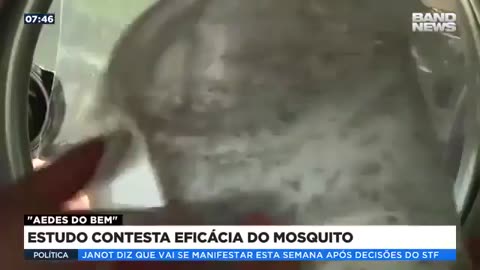 30 MILHÕES de mosquito da dengue geneticamente turbinados lançados no Brasil.