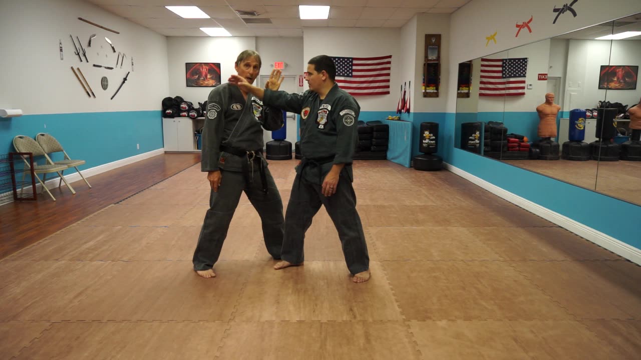 Correcting common errors executing the American Kenpo technique Sleeper