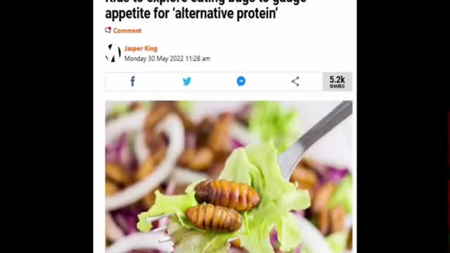 Scientists Plan To Feed Insects To Primary Schools