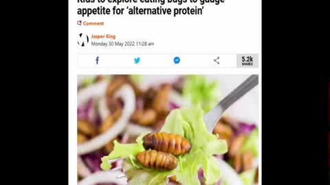 Scientists Plan To Feed Insects To Primary Schools