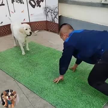 Teach 1 to understand 10, so smart 😍