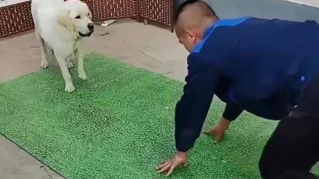 Teach 1 to understand 10, so smart 😍