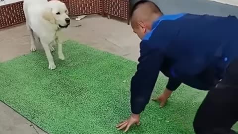 Teach 1 to understand 10, so smart 😍