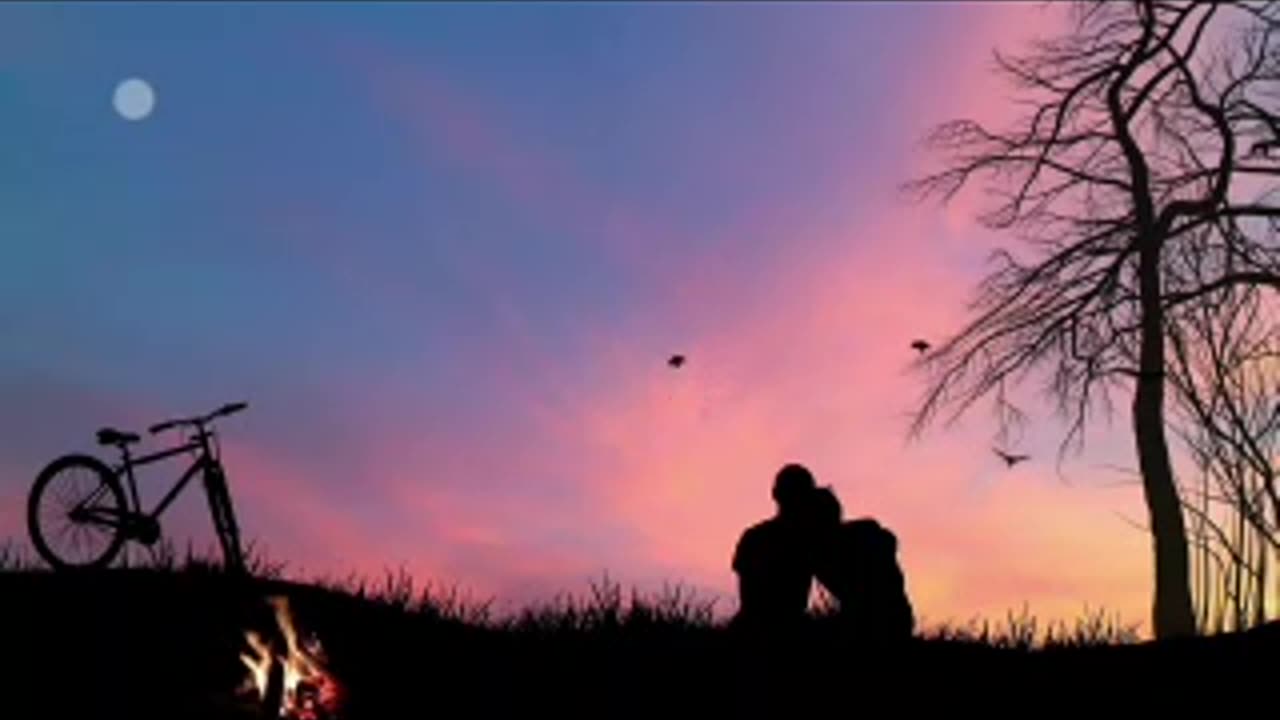 cc-185193 1/1.mp4