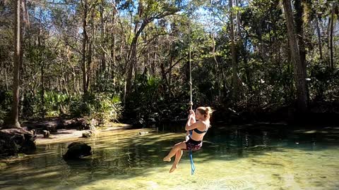 Manatees at the Chaz