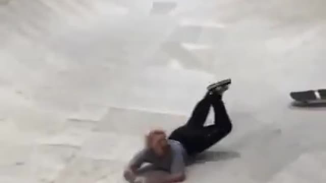 this one tried to cross the floor