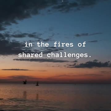 The best love stories are written...