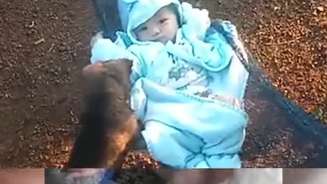 Adorable Baby and Animals Compilation