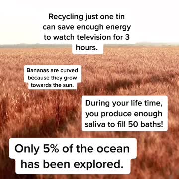 Fun Facts You Probably Didn't Know!!! Part 1