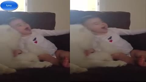 Dog Love Baby(Dog Showing Love Baby )