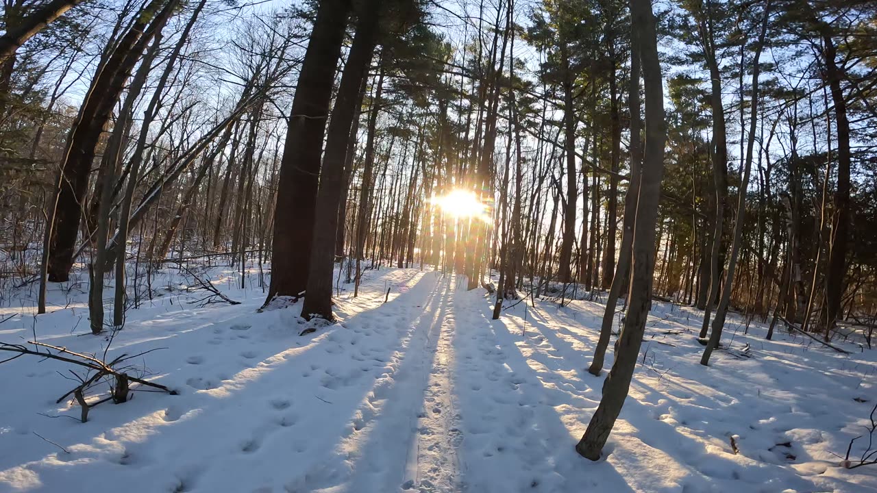 ❄️⛷️☃️ Winter Time 2024 Hiking In Ottawa Bruce Pit Trails Part 1 🍁 Winter Edition Canada 🌴❄️⛷️☃️🍁