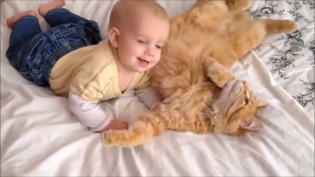 Newborn finds pet cat for the first time