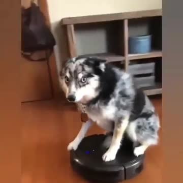 Helping in house cleaning