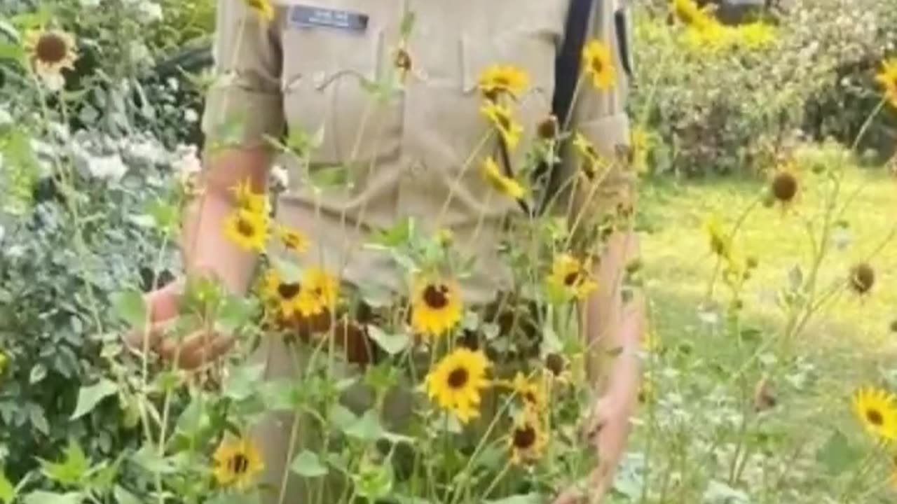 Ladies police new motivational status | POLICE | MOTIVATIONAL | SHORTS